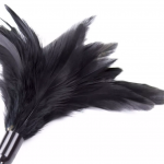 Feather Tickler Riding Crop Feather Tickler Riding Crop